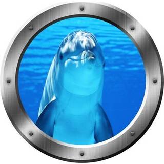 Marsvin vgmrkat Delfin koje 3D vgklistermrke Peel and Stick Decor VWAQ-SP29 (20"" diameter)