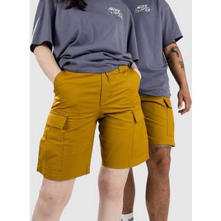 Nike Sb Kearny Shorts - 30 - bronzine