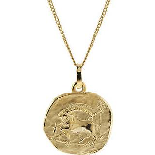 trendor 41920-01 Halskette mit Sternzeichen Steinbock Gold 333/8K Ø 16 mm