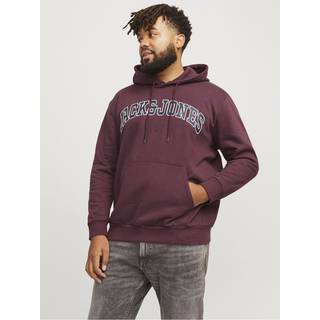 Plus Size Logo Hættetrøje