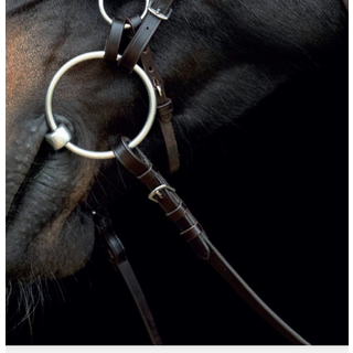 Catago Gentle Bridle Miderste Kæberem - FULL - SORT