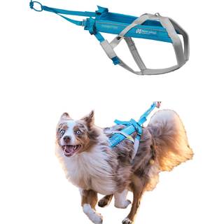 Non-stop Dogwear Freemotion Harness 5.0 Size 4 Blue/Grey, 4