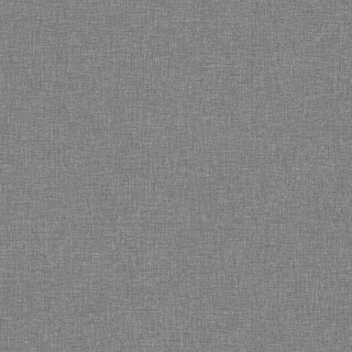 Canvas Graphite - 6119