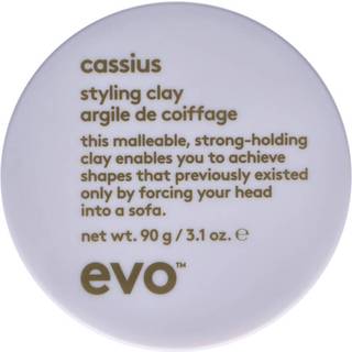 Evo Cassius Styling Clay (90g)