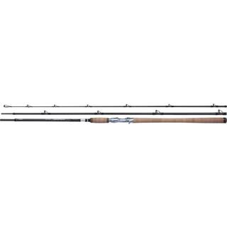 Shimano Speedmaster Salmon Casting -