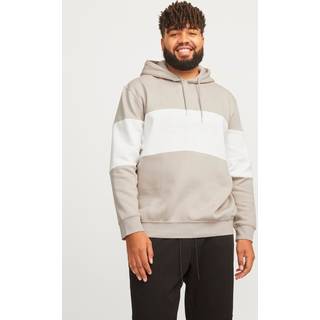 Plus Size Logo Hættetrøje
