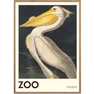 The Zoo Collection Pelican - 70x100 cm