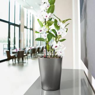 Lechuza Deltini indendørs krukke til blomster med selvvandingssystem 19 Charcoal metallic