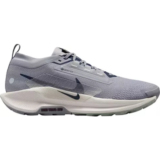 Vandtætte Nike Pegasus Trail 5 GORE-TEX-trailløbesko til mænd - grå - 44.5