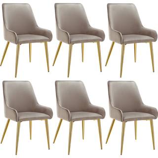 Spisebordsstol Avane, velour, bæreevne 120 kg - taupe,Sæt med 6 stk.