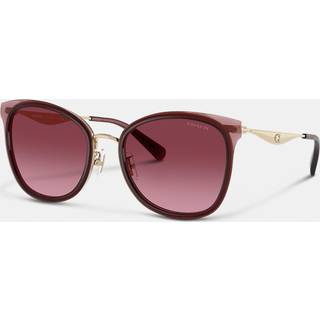 Coach HC7170 CW185 94518H 56 Solbriller Kvinder Guld - Burgundy - 56mm