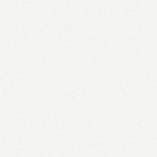 Canvas Shimmer - 6115