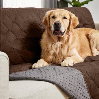 GORILLA GRIP Vandtt hundesengebetrk Kledyrstppe til mbel Sofa Kasse Bilsofa Kast Essentielt til katte og hunde Rive- og skridsikkert lkages