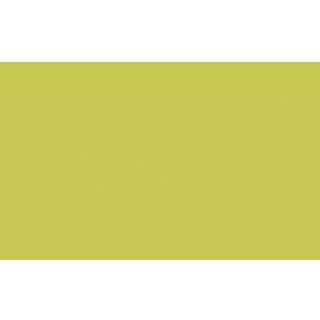 Pale Lime™ - Intelligent Matt Emulsion - 1 L