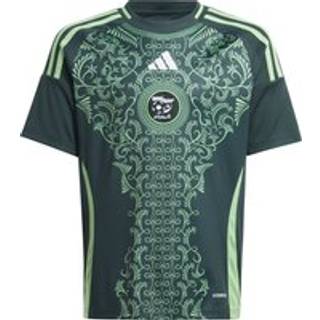 Algeria 24 Kids udebanetrøje - Mineral Green - 128