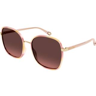 Chloé Kvinde CH0031S 013 Solbriller Bio-injekt Havana Rød Firkantet