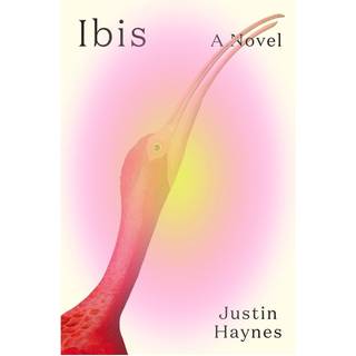 Ibis