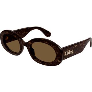 Chloé Kvinde CH0258S 002 Solbriller Acetat Havana Brun Rund