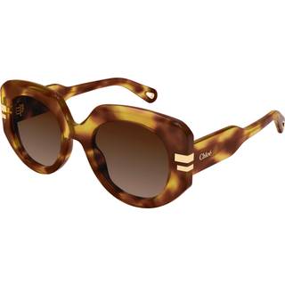 Chloé Kvinde CH0257S 002 Solbriller Acetat Havana Brun Firkantet