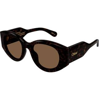 Chloé Kvinde CH0251S 002 Solbriller Acetat Havana Brun Rund
