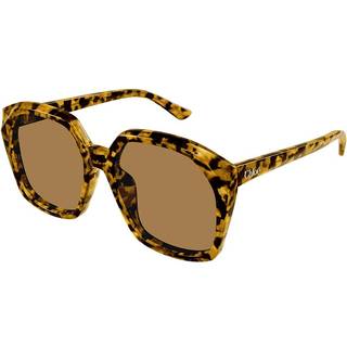 Chloé Kvinde CH0280S 007 Solbriller Acetat Havana Brun Firkantet