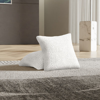 Paulato af Ga.I.Co. Kast pudebetr?k - 18x18 puder slipcover 2 stk s?t - bl?d polyester stof slipcover - 1 -delt form Fit stretchm?belbeskytter -