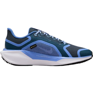 Vandtætte Nike Pegasus 41 GORE-TEX-løbesko til vej til kvinder - blå - 44.5