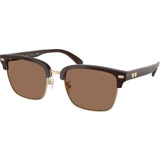 Coach HC8412 CW406 554273 56 Solbriller Mænd Brun - Brown - 56mm