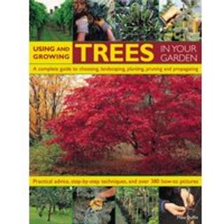 Using and Growing Trees in Your Garden