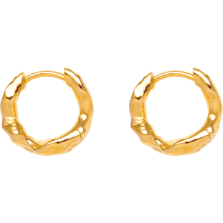 IX Alex Earring