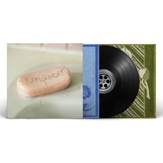 Dry Cleaning - Stumpwork (Black Eco Vinyl)