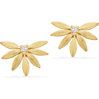Scrouples øreringe med cubic zirkonia i forgyldt