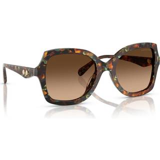 Coach HC8410U CW225 584474 56 Solbriller Kvinder Tortoiseshell - Jade Pearl Tortoise - 56mm