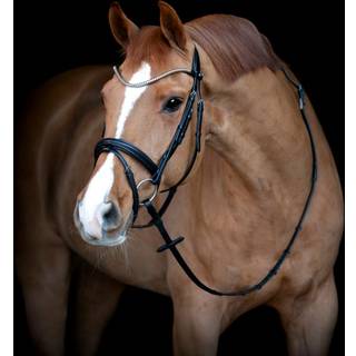 Catago Brooklyn Trense - PONY