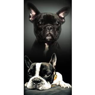 Hunde håndklæde - 70x140 cm - 100% bomuld - Blødt badehåndklæde med to små franske bulldogs