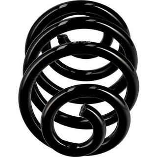 Standardfjeder bagaksel 17 00 MM