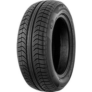 Pirelli Cinturato All Season Plus MFS BSW M+S 3PMSF 205/55R16 91V