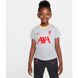 Kortærmet Liverpool FC Academy Pro Third Nike Dri-FIT-fodboldtrøje til mindre børn - grå - XS
