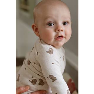 That's Mine - Mika bodystocking - Bees and bears - 80cm - 12M