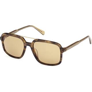 Gant GA00016 95E 54 Solbriller Mænd Grøn - Striped Light Green Horn - 54mm