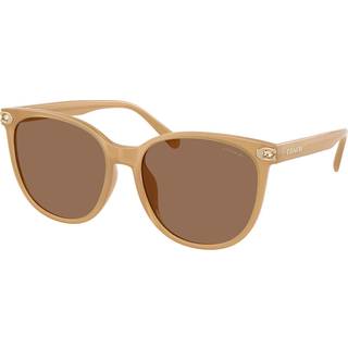 Coach HC8414BD CW428 Asian Fit 585473 57 Solbriller Kvinder Brun - Milky Tea Brown - 57mm