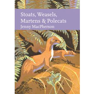 Stoats, Weasels, Martens and Polecats