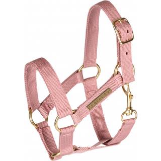 Cheval Roi grime til kæphest - Antique Rose