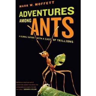 Adventures among Ants
