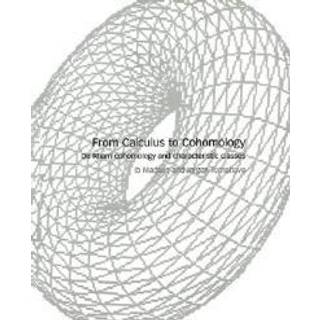 From Calculus to Cohomology