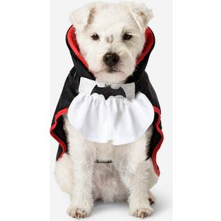 Dracula-kostume til kæledyr