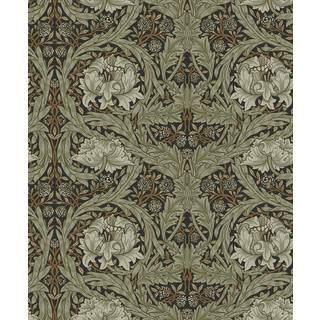 African Marigold - Black & Green