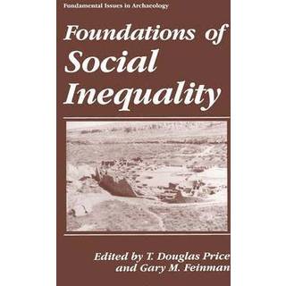 Foundations of Social Inequality
