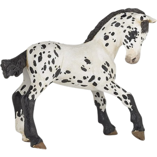 Papo - H?ndmalet - figur - Heste Foals and Ponies - Black Appaloosa Foal Figur -51540 - Samlerobjekter - til b?rn - Velegnet til drenge og piger