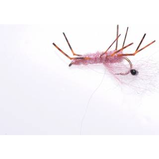 Honey Schrimp Pink Kystflue